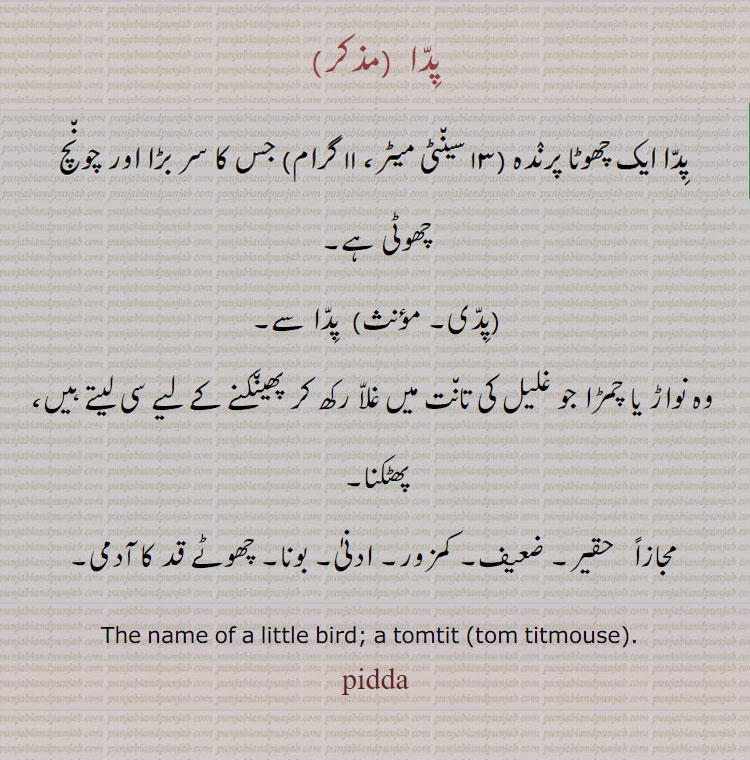 پدا ,پدا  ایک چھوٹا پرندہ  (13 سینٹی میٹر، 11 گرام)  جس کا سر بڑا اور  چونچ چھوٹی ہے,پدی, پدا سے,وہ نواڑ یا چمڑا جو غلیل کی تانت میں غلا رکھ کر پھینکنے کے لیے سی لیتے ہیں، پھٹکنا,مجازاً   حقیر۔ ضعیف۔ کمزور۔ ادنیٰ۔ بونا۔ چھوٹے قد کا آدمی۔
The name of a little bird; a tomtit (tom titmouse).  