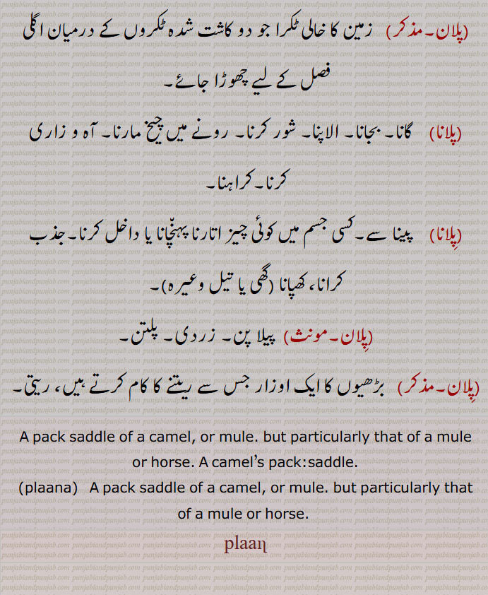  چھپر باندھنا,پلان,زمین کا خالی ٹکرا جو دو کاشت شدہ ٹکروں کے درمیان اگلی فصل کے لیے چھوڑا جائے,پلانا, گانا۔ بجانا۔ الاپنا۔ شور کرنا۔ رونے میں چیخ مارنا۔ آہ و زاری کرنا۔کراہنا,پلانا, پینا سے۔کسی جسم میں کوئی چیز اتارنا پہنچانا یا داخل کرنا۔جذب کرانا، کھپانا ,پلان, پیلا پن۔ زردی۔ پلتن,پلان, بڑھیوں کا ایک اوزار جس سے ریتنے کا کام کرتے ہیں، ریتی۔
A pack saddle of a camel, or mule. but particularly that of a mule or horse. A camel’s pack:saddle.,plaana,   A pack saddle of a camel, or mule. but particularly that of a mule or horse. , plaan, plan,  ਪਲਾਣ, plaana, ਪਲਾਣਾ,