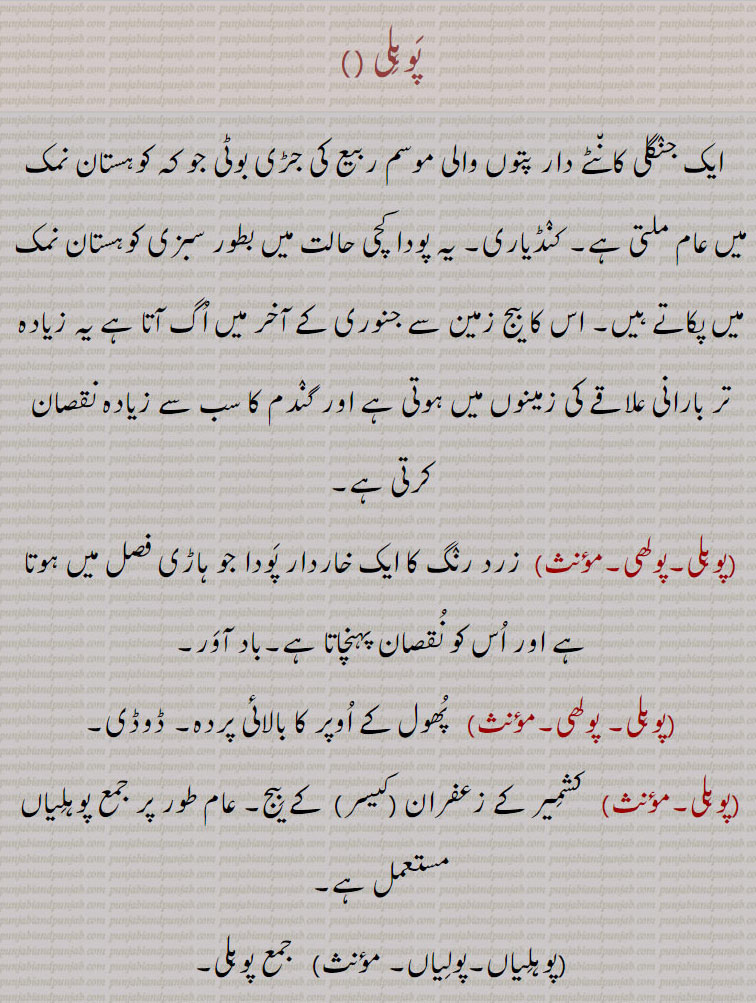 پوہلی، ایک جنگلی کانٹے دار پتوں والی موسم ربیع کی جڑی بوٹی جو کہ کوہستان نمک میں عام ملتی ہے۔ کنڈیاری۔ یہ پودا کچی حالت میں بطور سبزی کوہستان نمک میں پکاتے ہیں۔ اس کا بیج زمین سے جنوری کے آخر میں اگ آتا ہے یہ زیادہ تر بارانی علاقے کی زمینوں میں ہوتی ہے اور گندم کا سب سے زیادہ نقصان کرتی ہے,پوہلی۔پولھی,  زرد رنگ کا ایک خاردار پودا جو ہاڑی فصل میں ہوتا ہے اور اس کو نقصان پہنچاتا ہے۔باد آور,پوہلی۔ پولھی, پھول کے اوپر کا بالائی پردہ۔ ڈوڈی, کشمیر کے زعفران (کیسر)  کے بیج۔ عام طور پر جمع پوہلیاں مستعمل ہے,پوہلیاں۔پولیاں,  قرطم۔ کسمبھا۔ کسم۔ کڑ۔ ایک پودا جس کے بیجوں ( جو کہ سفید، کالے یا چیت کبرے ہوتے ہیں) کا تیل نکالتے ہیں یعنی پوہلیاں دا تیل,کسمبے کی جنگلی قسم۔ کنٹیاری۔
