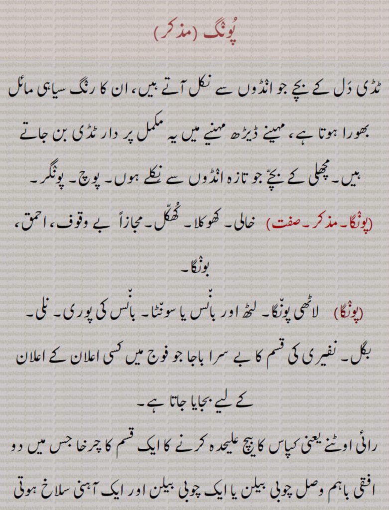 پونگ ، ٹڈی دل کے بچے جو انڈوں سے نکل آتے ہیں، ان کا رنگ سیاہی مائل بھورا ہوتا ہے، مہینے ڈیڑھ مہنیے میں یہ مکمل پر دار ٹڈی بن جاتے ہیں۔مچھلی کے بچے جو تازہ انڈوں سے نکلے ہوں۔ پوچ۔ پونگر,پونگا, خالی۔ کھوکلا۔ کھکل۔مجازاً  بے وقوف، احمق، بونگا,پونگا,  لاٹھی پونگا۔ لٹھ اور بانس یا سونٹا۔ بانس کی پوری۔ نلی,بگل۔ نفیری کی قسم کا بے سرا باجا جو فوج میں کسی اعلان کے اعلان کے لیے بجایا جاتا ہے, رائی اوٹنے یعنی کپاس کا بیچ علیحدہ کرنے کا ایک قسم کا چرخا جس میں دو افقی باہم وصل چوبی بیلن یا ایک چوبی بیلن اور ایک آہنی سلاخ ہوتی ہے جن کے درمیان سے کپاس کو گزارا جاتا ہے اس عمل سے بنولا روئی سے جدا ہو جاتا ہے،