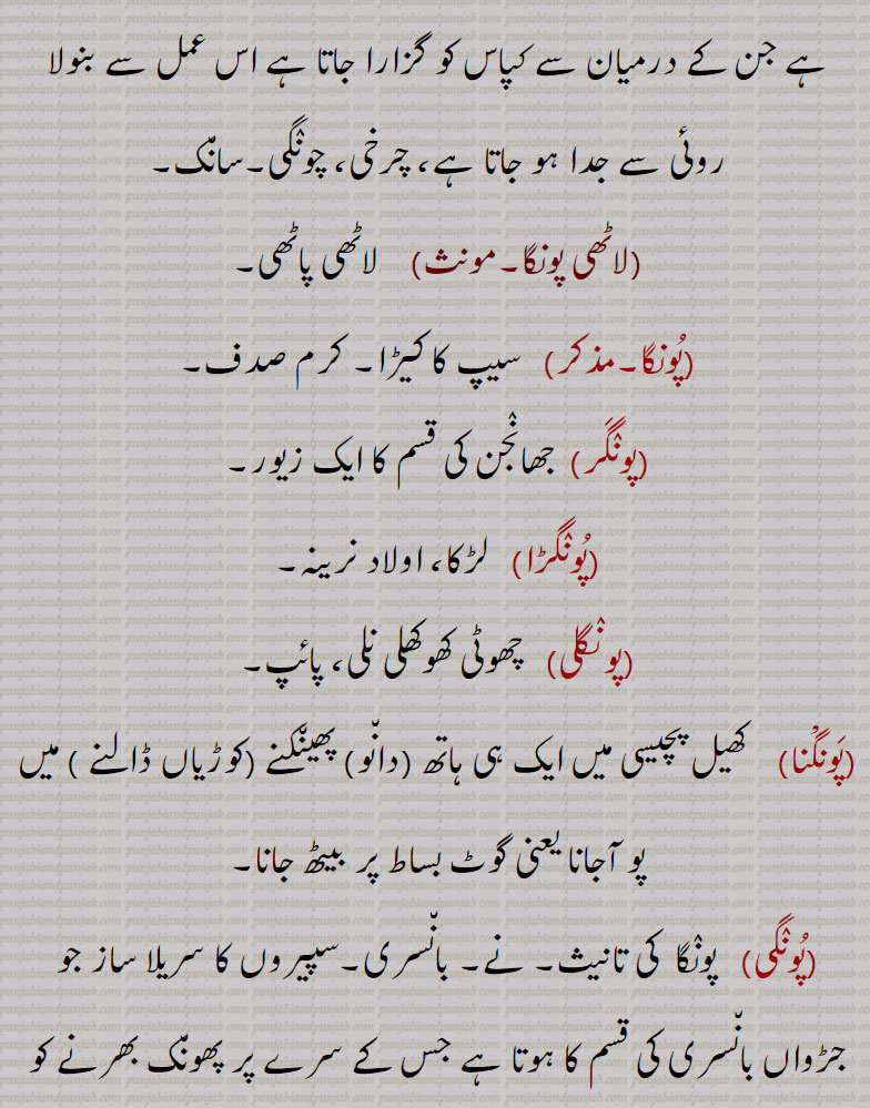 
 چرخی، چونگی۔سانک, لاٹھی پونگا, لاٹھی پاٹھی,پونگا,   سیپ کا کیڑا۔ کرم صدف,پونگر,  جھانجن کی قسم کا ایک زیور,پونگڑا,   لڑکا، اولاد نرینہ,پونگلی, چھوٹی کھوکھلی نلی، پائپ,پونگنا,  کھیل پچیسی میں ایک ہی ہاتھ (دانو) پھینکنے (کوڑیاں ڈالنے ) میں پو آجانا یعنی گوٹ بساط پر بیٹھ جانا۔
(پونگی)   پونگا  کی تانیث۔ نے۔ بانسری۔سپیروں کا سریلا ساز جو جڑواں بانسری کی قسم کا ہوتا ہے جس کے سرے پر پھونک بھرنے کو ایک چھوٹی تونبی لگی رہتی ہے، تونبڑی، مجیدی۔سپیروں کی بین, توئی، نفیری کا سنگتی ساز جو ایک قسم کی بغیر پردوں کی ایک سری نفیری ہوتی ہے اور نفیری کے ساتھ لے ملانے کو پوں کاری کے طور پر بجائی جاتی ہے جس سے صاف ہوں کی آواز نکلتی ہے