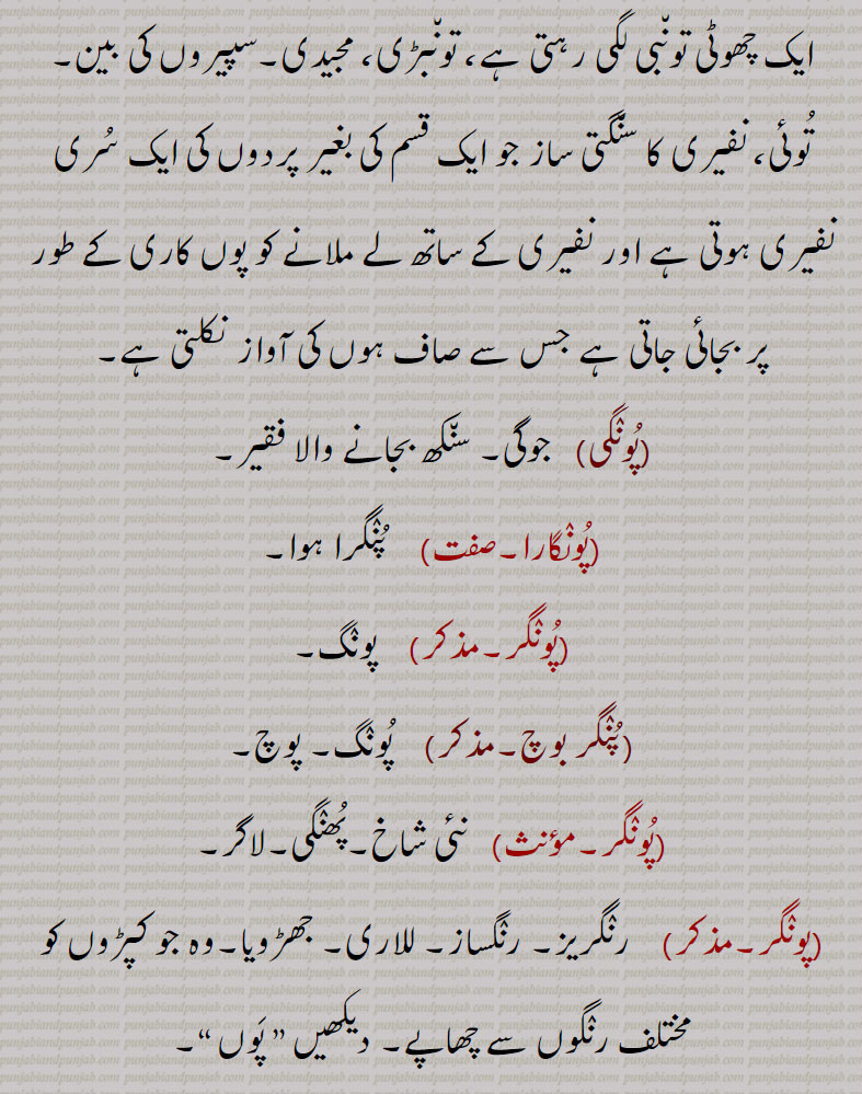 ,پونگی,  جوگی۔ سنکھ بجانے والا فقیر,پونگارا,  پنگرا ہوا,پونگر,   پونگ,پنگر بوچ,  پونگ۔ پوچ,پونگر, نئی شاخ۔پھنگی۔لاگر,پونگر۔مذکر)    رنگریز۔ رنگساز۔ للاری۔ جھڑویا۔وہ جو کپڑوں کو مختلف رنگوں سے چھاپے۔ دیکھیں ” پوں “۔
,پونگرا, پانی کے حشرات۔ پورا (پورے)۔ پوئرے۔پتر۔ بیٹا۔ پونگڑا۔
,پونگرنا, سرائت کرنا۔ تاثیر کرنا۔ خوشے کا پھوٹنا۔ پھٹنا۔ پنگرنا,پونگی,پکھنڈی۔ ڈھونگی,پونگڑی, مقعد ,