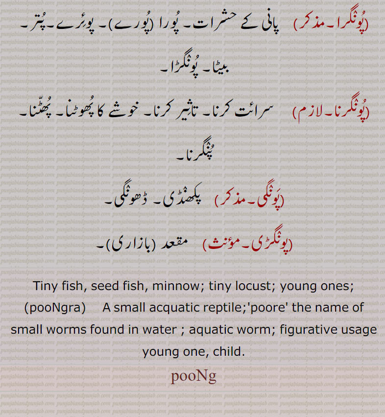 Tiny fish, seed fish, minnow; tiny locust; young ones;
,pooNgra,    A small acquatic reptile;'poore' the name of small worms found in water ; aquatic worm; figurative usage young one, child., pooNg, pong, ਪੂੰਗ,poongra, ਪੂੰਗਰਾ,pongra,