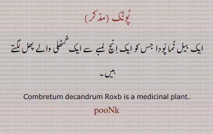 پونک,
ایک بیل نما پودا جس کو ایک انچ  لمبے سے ایک گٹھلی والے پھل لگتے ہیں۔
Combretum decandrum Roxb is a medicinal plant. pooNk,,punk , ਪੂੰਕ