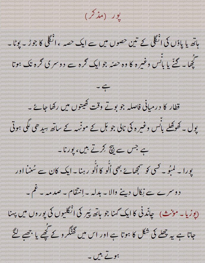 

 پور ,ہاتھ یا پاؤں کی انگلی کے تین حصوں میں سے ایک حصہ ، انگلی کا جوڑ۔ پوٹا۔ گچھا۔ گنے یا بانس وغیرہ کا وہ حصہ جو ایک گرہ سے دوسری گرہ تک ہوتا ہے۔
قطار کا درمیانی فاصلہ جو بوتے وقت کھیتوں میں رکھا جائے, پول۔ کھوکھلے بانس وغیرہ کی نالی جو ہل کے مونہہ کے ساتھ سیدھی لگی ہوتی ہے جس سے بیچ  کرتے ہیں، پورنا, پورا۔ لمبو۔ کسی کو سمجھائے بھی الو کا الو رہنا۔ ایک کان سے سننا اور دوسرے سے نکال دینے والا۔ بدلہ۔ انتقام۔ صدمہ۔ غم, پورْیا, چاندنی کا ایک گہنا جو ہاتھ پیر کی انگلیوں کی پوروں میں پہنا جاتا ہے یہ چھلے کی شکل کا ہوتا ہے اور اس میں گھنگرو کے گچھے یا  جھبے لگے ہوتے ہیں, پوراں,  انگلیوں کی اوپر کی پور میں ڈالا ہوا چھلے کی قسم کا زیور, پور,آبادی کے نام کے لیے۔ پر مثلاً  شاہ پور، نور پور وغیرہ۔