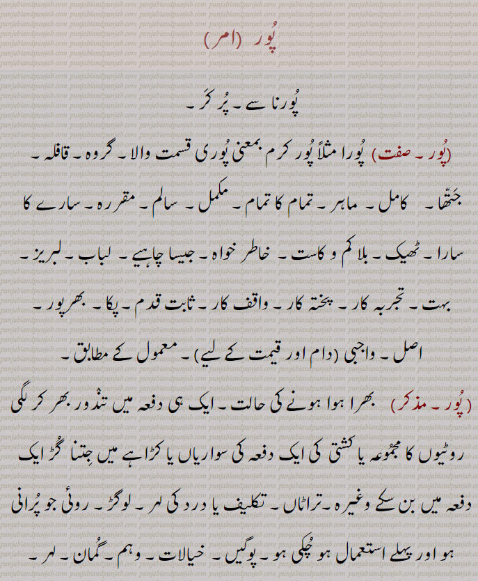  پور  ,پورنا سے۔ پر کر,پور, پورا مثلاً پور کرم بمعنی پوری قسمت والا۔ گروہ۔ قافلہ۔ جتھا۔    کامل۔  ماہر۔ تمام کا تمام۔ مکمل۔  سالم۔ مقررہ۔ سارے کا سارا۔ ٹھیک۔ بلا کم و کاست۔  خاطر خواہ۔ جیسا چاہیے۔  لباب۔ لبریز۔
بہت۔ تجربہ کار۔  پختہ کار۔ واقف کار۔ ثابت قدم۔ پکا۔  بھرپور۔ اصل۔ واجبی (دام اور قیمت کے لیے)۔ معمول کے مطابق, پور, بھرا ہوا ہونے کی حالت۔ ایک ہی دفعہ میں تندور بھر کر لگی روٹیوں کا مجموعہ یا کشتی  کی ایک دفعہ کی سواریاں یا کڑاہے میں جتنا  گڑ ایک دفعہ میں بن سکے وغیرہ۔تراٹاں۔ تکلیف یا درد کی لہر۔ لوگڑ۔ روئی جو پرانی ہو اور پہلے استعمال ہو چکی ہو۔ پوگیں۔  خیالات۔ وہم۔ گمان۔ لہر۔ تفکرات۔ افکار۔ اندیشہ۔ درد و سوز کا دورہ۔ غم کا دورہ,کانوں کا ایک زیور, پورنا, دبانا۔ زمین میں دبانا۔ دفنانا۔ زمین میں گاڑنا جیسے خیمہ کے کیلے یا جھنڈا پورنا۔