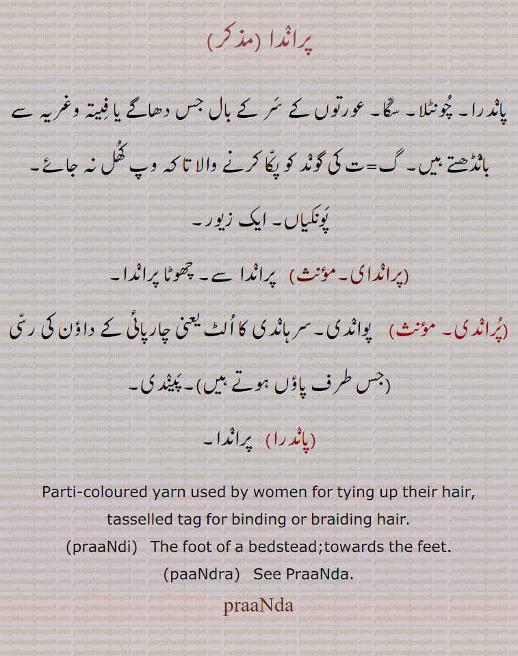 پراندا، پاندرا۔ چونٹلا۔ سگا۔ عورتوں کے سر کے بال جس دھاگے یا فیتہ وغریہ سے بانٛڈھتے ہیں۔ گ=ت کی گوند کو پکا کرنے والا تا کہ وپ کھل نہ جائے۔ پونکیاں۔ ایک زیور,پراندای, پراندا سے۔ چھوٹا پراندا,پراندی,پواندی۔سرہاندی کا الٹ یعنی چارپائی کے داؤن کی رسی  جس طرف پاؤں ہوتے ہیں ۔پیندی,پاندرا, پراندا۔
Parti-coloured yarn used by women for tying up their hair, tasselled tag for binding or braiding hair., praaNdi,   The foot of a bedstead;towards the feet., paaNdra,   See PraaNda., praaNda, praaNda  ,ਪਰਾਂਦਾ  , paraaNdi, ਪਰਾਂਦੀ, paaNdra,   ਪਾਂਦਰਾ,   paraNdi, paraNda, praaNdi, praNdi, praaNda, praNda, 