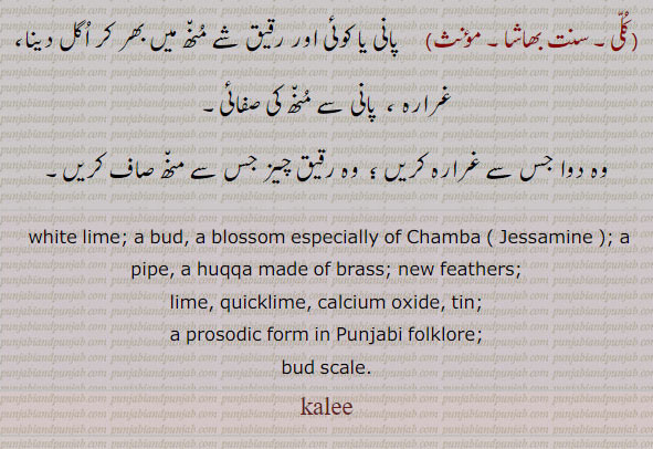 ,کلی ,kalee, ਕਲੀ,   kali,  Kaalika. Tin; white lime; a bud, a blossom especially of Chamba (Jossamine); a pipe, a huqqa made of brass; new feathers, lime. quicklime. calcium oxide. tin. prosodic form in punjabi folklore.bud scale. kali , kalee.   ,kuli,quli,kali,qali,kalli,qulli,a bud, a blossom,  
