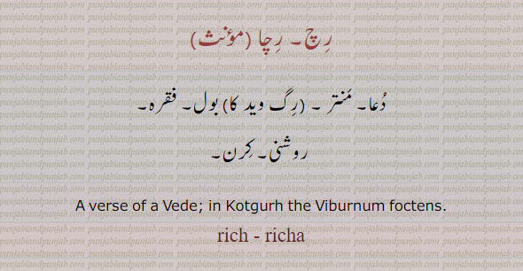  rich, ਰਿਚ, verse of vede. in kotgurh viburnum foctens. rich. richa. رِچ ، رچ۔ دعا۔ منتر۔ رگ وید کا بول۔ فقرہ۔ روشنی۔ کرن۔