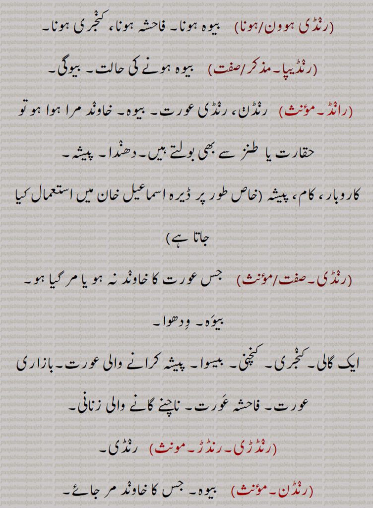 دھندا۔ پیشہ,کاروبار، کام، پیشہ  خاص طور پر ڈیرہ اسماعیل خان میں استعمال کیا جاتا ہے,رنڈی, جس عورت کا خاوند نہ ہو یا مر گیا ہو۔ بیوہ۔ ودھوا,ایک گالی۔کنجری۔ کنچنی۔ بیسوا۔ پیشہ کرانے والی عورت۔بازاری عورت۔ فاحشہ عورت۔ ناچنے گانے والی زنانی,رنڈڑی۔رنڈڑ,  رنڈی,رنڈن,  بیوہ۔ جس کا خاوند مر جائے,رنڈوا,  جس کی بیوی نہ ہو۔رنڈا جس کا کوئی سائیں نہ ہو۔