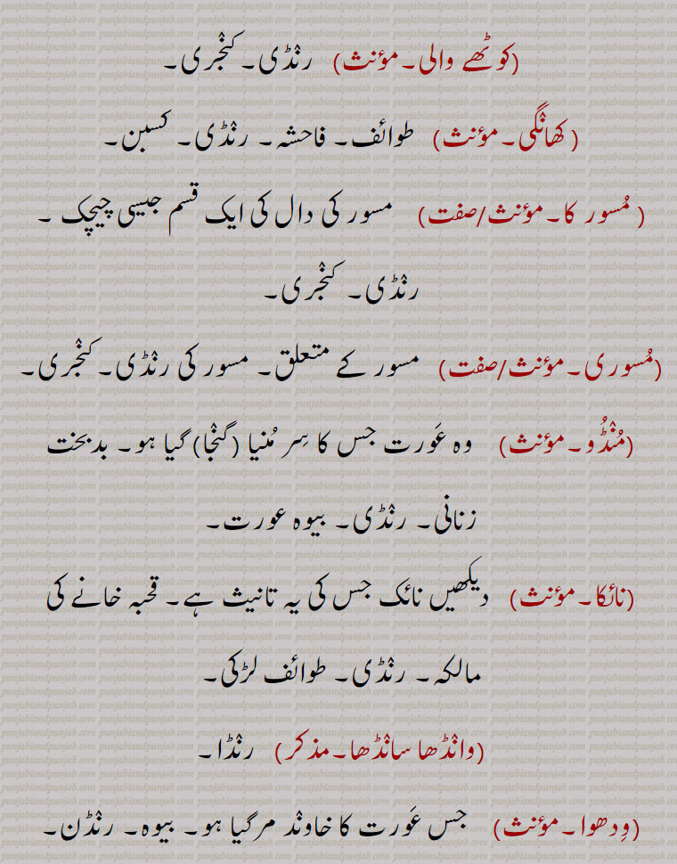 مسوری,   مسور کے متعلق۔ مسور کی رنڈی۔کنجری,منڈو, وہ عورت جس کا سر منیا (گنجا) گیا ہو۔ بدبخت زنانی۔ رنڈی۔ بیوہ عورت,نائکا, قحبہ خانے کی مالکہ۔ رنڈی۔ طوائف لڑکی,وانڈھا سانڈھا,  رنڈا۔
,ودھوا,  جس عورت کا خاوند مرگیا ہو۔ بیوہ۔ رنڈن۔
,ہتیری بہتیری, رنڈی۔ طوائف۔ کنجری۔