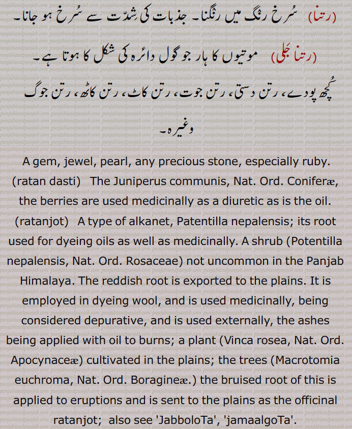  A gem, jewel, pearl, any precious stone, especially ruby.,ratan dasti, The Juniperus communis, Nat. Ord. Coniferæ, the berries are used medicinally as a diuretic as is the oil.,ratanjot,   A type of alkanet, Patentilla nepalensis; its root used for dyeing oils as well as medicinally. A shrub  Potentilla nepalensis, Nat. Ord. Rosaceae  not uncommon in the Panjab Himalaya. The reddish root is exported to the plains. It is employed in dyeing wool, and is used medicinally, being considered depurative, and is used externally, the ashes being applied with oil to burns; a plant ,Vinca rosea, Nat. Ord. Apocynaceæ, cultivated in the plains; the trees ,Macrotomia euchroma, Nat. Ord. Boragineæ., the bruised root of this is applied to eruptions and is sent to the plains as the officinal ratanjot;  also see 'JabboloTa', 'jamaalgoTa'.
,ratankaat,   