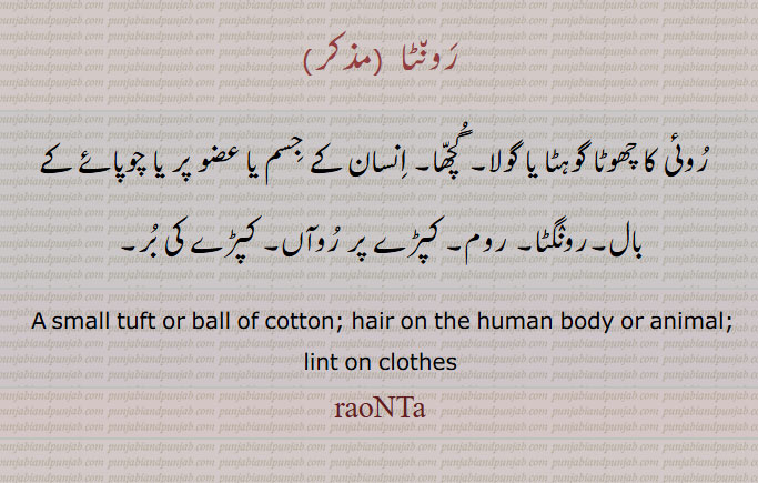  رونٹا , روئی کا چھوٹا گوہٹا یا گولا۔گچھا۔ اِنسان کے جسم یا عضو پر یا چوپائے کے بال۔رونگٹا۔ روم۔ کپڑے پر روآں۔ کپڑے کی بر۔
 A small tuft or ball of cotton; hair on the human body or animal; lint on clothes, raoNTa ,  ਰੌਂਤਾ , ਰੌਂਟਾ, ਰੌਨਟਾ, 