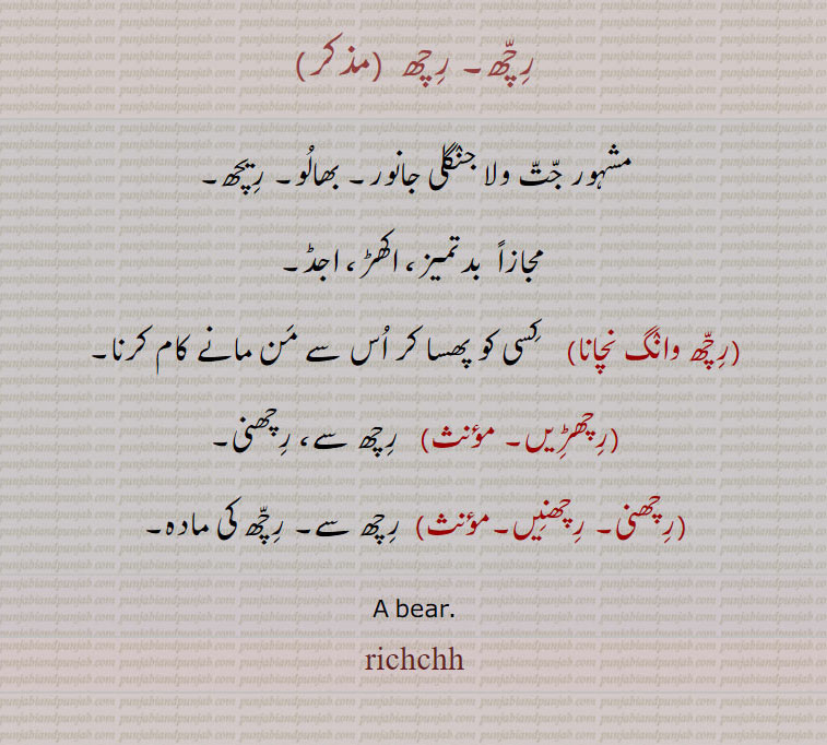 رچھ, رچھ وانگ نچانا,رچھڑیں, رچھنی, ,رچھنی, رچھنیں, ,richchh ,ਰੱਛ, richchhni, ਰਿੱਛਣੀ,
رچھ۔ رچھ  ،مشہور جت ولا جنگلی جانور۔ بھالو۔ ریچھ۔
 مجازاً  بدتمیز، اکھڑ، اجڈ,رچھ وانگ نچانا, کسی کو پھسا کر اس سے من مانے کام کرنا,رچھڑیں,  رچھ سے، رچھنی,رچھنی۔ رچھنیں, رچھ سے۔ رچھ کی مادہ۔
A bear. , richchh, richh. 
