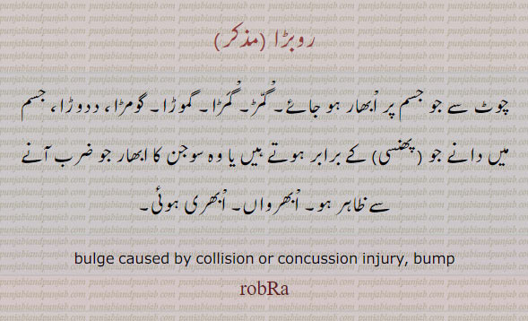  روبڑا,,robRa,  ਰੋਬੜਾ , bulge caused by collision or concussion injury, bump. چوٹ سے جو جسم پر اُبھار ہو جائے ۔ گمڑ۔ گمڑا۔ گموڑا۔ گومڑا۔ دودڑا۔ جسم میں دانے جو پھنسی کے برابر ہوتے ہیں یا وہ سوجن کا ابھار جو ضرب آنے سے ظاہر ہو۔ اُبھرواں۔ اُبھری ہوئِ۔روبڑا۔