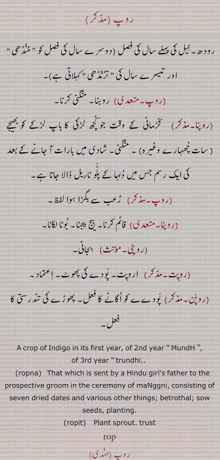 ਰੋਪ, ropna, ਰੋਪਣਾ ,ਰੋਪਨਾ , ropit,روپنا,روپن, روپت ,
روپ ,رودھ۔نیل کی پہلے سال کی فصل (دوسرے سال کی فصل کو   منڈھی    اور تیسرے سال کی ” ترنڈھی “ کہلاتی ہے,روپ, روبنا۔ منگنی کرنا,روپنا, کڑمائی  کے  وقت  جو کچھ  لڑکی  کا باپ  لڑکے  کو بھیجے ( سات چھہارے چھوہارے وغیرہ) ۔ منگنی۔ شادی میں بارات آ جانے کے بعد کی ایک رسم جس میں دلہا کے پلو ناریل ڈالا جاتا ہے, رعب سے بگڑا ہوا لفظ,روپنا,  قائم کرنا۔ بیج بیجنا۔ بوٹا لگانا,روپنی, بجائی,روپت,  اروپت۔ پودے کی پھوٹ۔ اعتماد,روپن,پودےے کو اگانے کا فعل۔ پھوڑے کی تندرستی کا فعل۔
A crop of Indigo in its first year, of 2nd year “ MundH ”, of 3rd year “ trundhi., ropna,  That which is sent by a Hindu girl's father to the prospective groom in the ceremony of maNggni, consisting of seven dried dates and various other things; betrothal; sow seeds, planting., ropit,    Plant sprout. trust, rop 