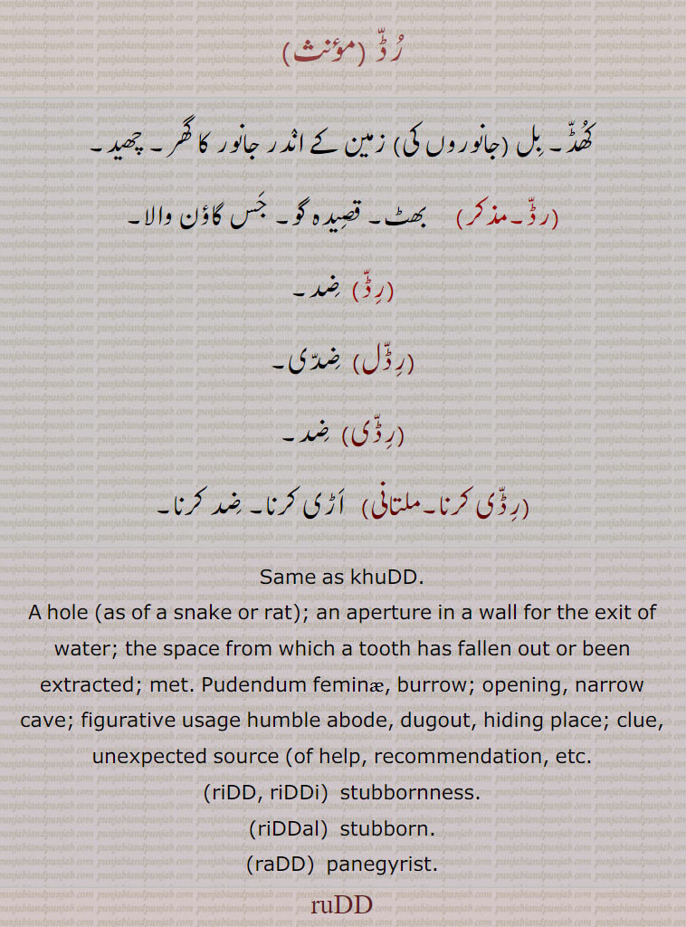 ruDD، khuDD , ਰੁੱਡ, ਖੁੱਡ ،رڈ, کھڈ, بل,رڈل,رڈی, ضد,رڈی کرنا, khuDD,riDD, riDDi,riDDal,raDD,
رڈ , کھڈ۔ بل (جانوروں کی) زمین کے اندر جانور کا گھر۔ چھید,  بھٹ۔ قصیدہ گو۔ جس گاؤن والا,رڈ,ضد,رڈل,  ضدی,رڈی, ضد,رڈی کرنا,  اڑی کرنا۔ ضد کرنا۔
Same as khuDD.
A hole (as of a snake or rat); an aperture in a wall for the exit of water; the space from which a tooth has fallen out or been extracted; met. Pudendum feminæ, burrow; opening, narrow cave; figurative usage humble abode, dugout, hiding place; clue, unexpected source (of help, recommendation, etc., riDD, riDDi, stubbornness., riDDal,  stubborn., raDD,  panegyrist., ruDD,