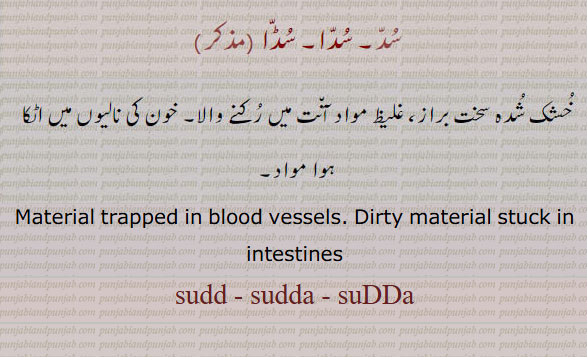 خون کی نالیوں میں اٹکا مواد۔ غلیظ مواد آنت میں رکا ہوا۔
Material trapped in blood vessels. Dirty material stuck in intestines, sudd - sudda - suDDa