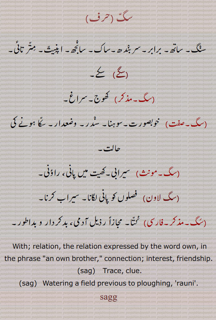 
سگ ,سنگ۔ ساتھ۔ برابر۔سربندھ۔ساک۔ سانجھ۔ اپنِیت۔ متر تائی,سگے,    سکے,سگ,  کھوج۔سراغ,  خوبصورت۔سوہنا۔ سندر۔ وضعدار۔ سکا ہونے کی حالت, سیرابی۔کھیت میں پانی، راؤنی,سگ لاون,   فصلوں کو پانی لگانا۔ سیراب کرنا,سگ, کتا۔ مجازاً رذیل آدمی، بدکردار و بداطور۔
 With; relation, the relation expressed by the word own, in the phrase "an own brother," connection; interest, friendship.
,sag,  Trace, clue.,sag,   Watering a field previous to ploughing, 'rauni'.,sagg,ਸੱਗ, sag, ਸਗ ,سگ لاون ,ਰੌਣੀ,rauni,