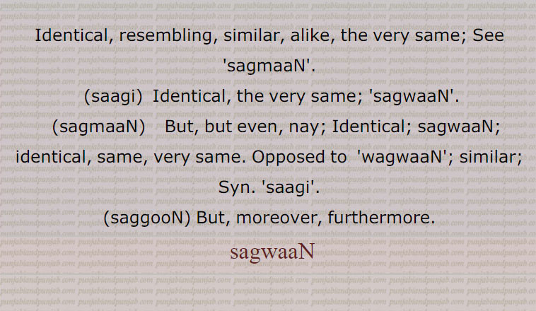 Identical, resembling, similar, alike, the very same; See 'sagmaaN'.,saagi,  Identical, the very same; 'sagwaaN'.,sagmaaN,    But, but even, nay; Identical; sagwaaN; identical, same, very same. Opposed to  'wagwaaN'; similar; Syn. 'saagi'.,saggooN, But, moreover, furthermore. sagwaN, Identical, resembling, similar, ,sagi, ਸਾਗੀ , sagmaN, ਸਗਮਾਂ,But, ,sagguN, ,sagwaN, ਸਗਵਾਂ,