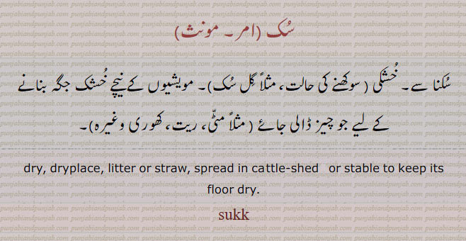 dry, dryplace. litter or straw. spread in cattle shed or stable to keep its floor dry.ਸੁੱਕ , ਸੁਕ,suk ,sukk.
سکنا سے۔ خشکی۔سوکھنے کی حالت۔ مویشیوں کے نیچے کی جگہ جو چیز ڈالی جائے مٹی ریت۔ کھوری۔ سک۔سُک۔