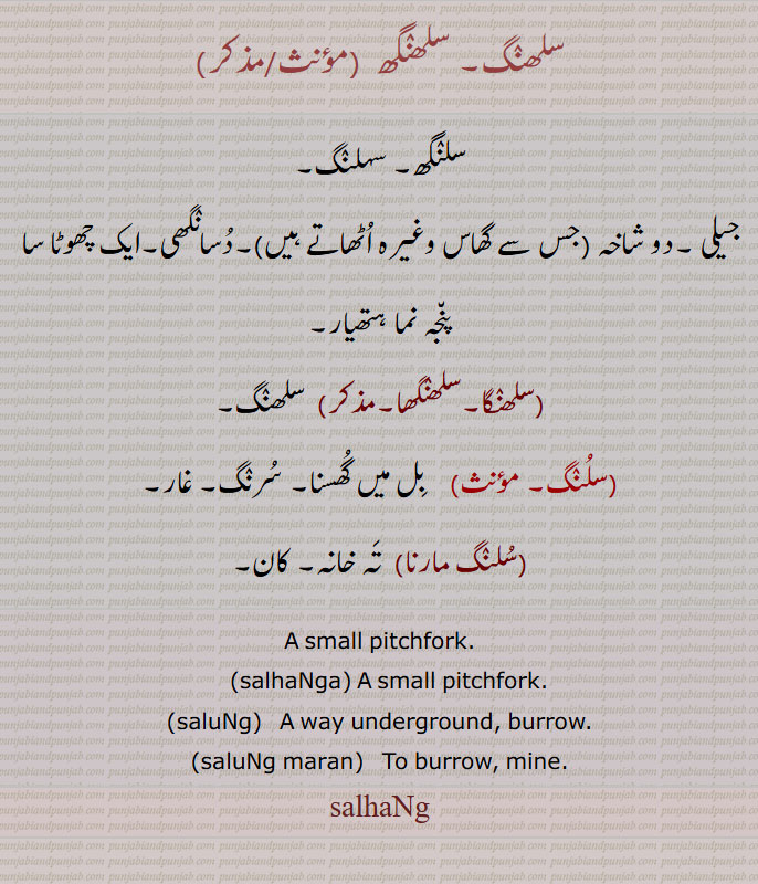 سلھنگ۔ سلھنگھ ,سلنگھ۔ سہلنگ,دو شاخہ,جس سے گھاس وغیرہ اٹھاتے ہیں,دسانگھی۔ایک چھوٹا سا پنجہ نما ہتھیار,سلھنگا۔سلھنگھا, سلھنگ,سلنگ,  بل میں گھسنا۔ سرنگ۔ غار,سلنگ مارنا,  تہ خانہ۔ کان۔
A small pitchfork.,salhaNga, A small pitchfork.,saluNg,   A way underground, burrow.,saluNg maran,   To burrow, mine.,salhaNg,,ਸਲਹੰਗ, salhanga, ਸਲ੍ਹੰਗਾ , ਸਲ੍ਹੰਘ, ਸਲ੍ਹੰਘਾ, salung, salung maran, ,سلھنگھ, سلنگ مارنا ,سلنگ, سلھنگا , سلھنگھا , سہلنگ , سلنگھ,