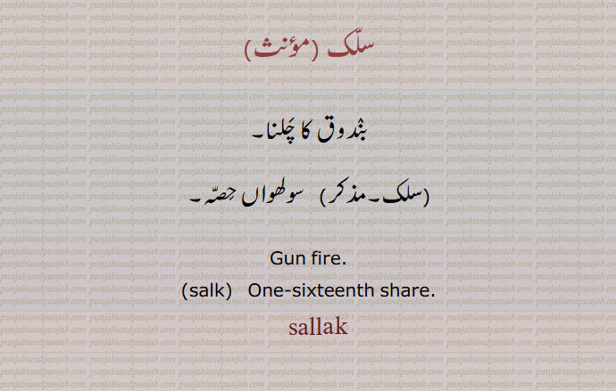 سلک ,
بندوق کا چلنا۔
 سلک,سولھواں حِصّہ۔
Gun fire.,salk,   One-sixteenth share.
 sallak,  سلک,salk, salak,sallk,ਸਲਕ,ਸੱਲਕ,