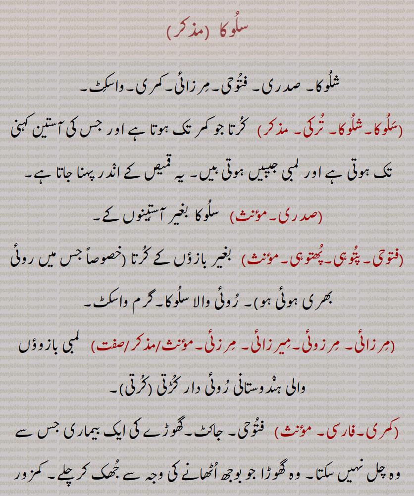 
سلوکا  ,شلوکا۔ صدری۔ فتوحی۔مرزائی۔کمری۔واسکٹ,,  کرتا جو کمر تک ہوتا ہے اور جس کی آستین کہنی تک ہوتی ہے اور لمبی جیبیں ہوتی ہیں۔ یہ قمیص کے اندر پہنا جاتا ہے,صدری, سلوکا  بغیر آستینوں کے,فتوحی۔پتوہی۔پھتوہی,   بغیر بازؤں کے کرتا, روئی والا سلوکا۔گرم واسکٹ,مرزائی۔ مرزوئی۔میرزائی۔ مرزئی,   لمبی بازوؤں والی ہندوستانی روئی دار کڑتی (کرتی),کمری,   فتوحی۔ جاکٹ۔گھوڑے کی ایک بیماری جس سے وہ چل نہیں سکتا۔ وہ گھوڑا جو بوجھ اٹھانے کی وجہ سے جھک کر چلے۔