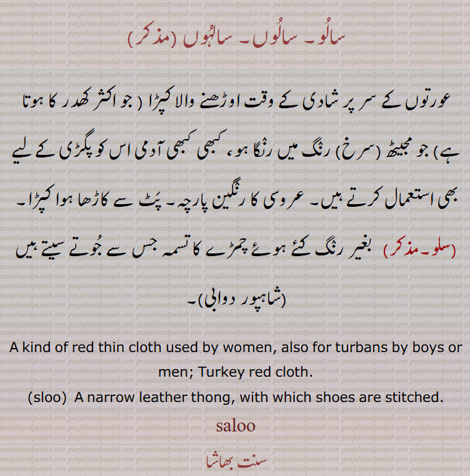 ਸਾਲੂ, سالو۔ سالوں۔ سالہوں  
عورتوں کے سر پر شادی کے وقت اوڑھنے والا کپڑا ( جو اکثر کھدر کا ہوتا ہے) جو مجیٹھ (سرخ) رنگ میں رنگا ہو، کبھی کبھی آدمی اس کو پگڑی کے لیے بھی استعمال کرتے ہیں۔ عروسی کا رنگین پارچہ۔ پٹ سے کاڑھا ہوا کپڑا۔
 سلو ،  بغیر رنگ کئے ہوئے چمڑے کا تسمہ جس سے جوتے سیتے ہیں , A kind of red thin cloth used by women, also for turbans by boys or men; Turkey red cloth., sloo,  A narrow leather thong, with which shoes are stitched.
saloo, salu, saalu, saloo, slu,sloo, ਸਾਲੂ,  ਸਲੂ,