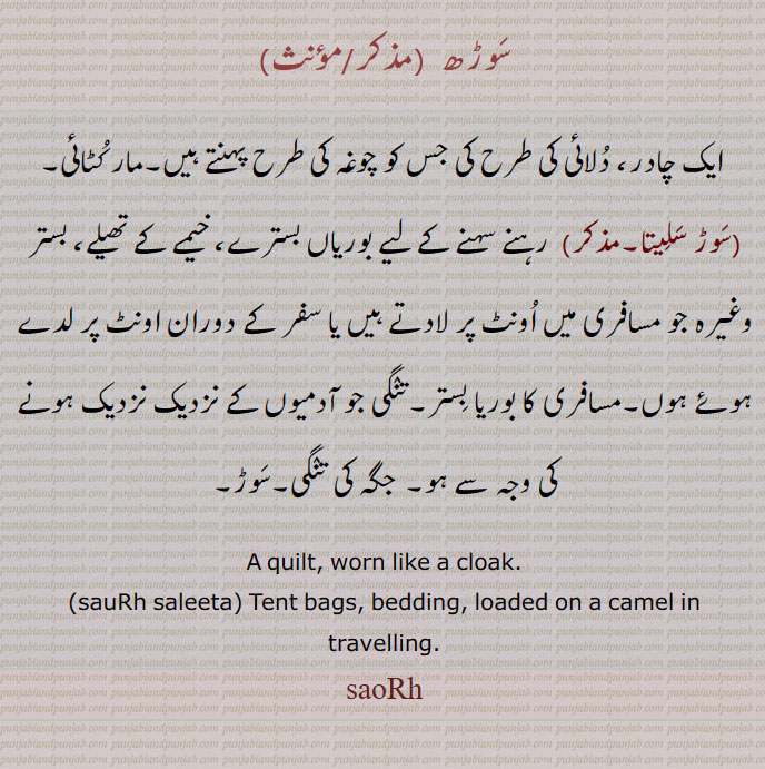 سوڑھ ,
 ایک چادر، دلائی کی طرح کی جس کو چوغہ کی طرح پہنتے ہیں۔مار کٹائی,سوڑ سلیتا, رہنے سہنے کے لیے بوریاں بسترے، خیمے کے تھیلے، بستر وغیرہ جو مسافری میں اونٹ پر لادتے ہیں یا سفر کے دوران اونٹ پر لدے ہوئے ہوں۔مسافری کا بوریا بستر۔تنگی جو آدمیوں کے نزدیک نزدیک ہونے کی وجہ سے ہو۔ جگہ کی تنگی۔سوڑ۔
A quilt, worn like a cloak., sauRh saleeta, Tent bags, bedding, loaded on a camel in travelling. saorh, saorh, ਸੌਡ਼੍ਹ,ਸੌੜ੍ਹ,  saorh saleeta