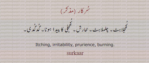  ਸੁਰਕਾਰ, surkar ,surkaar, Itching, burning.
کھجلاہٹ۔ چلملاہٹٛ خارش۔ گدگدی۔سُرکار۔ سرکار۔