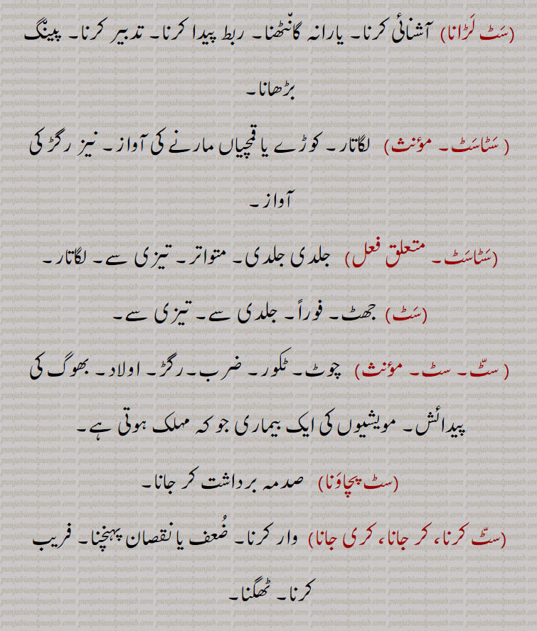 سٹ لڑانا,آشنائی کرنا۔ یارانہ گانٹھنا۔ ربط پیدا کرنا۔ تدبیر کرنا۔ پینگ بڑھانا, سٹاسٹ,  لگاتار۔ کوڑے یا قمچیاں مارنے کی آواز۔ نیز رگڑ کی آواز,سٹاسٹ, جلدی جلدی۔ متواتر۔ تیزی سے۔ لگاتار,سٹ,  جھٹ۔ فوراً۔ جلدی سے۔ تیزی سے,  چوٹ۔ ٹکور۔ ضرب۔رگڑ۔ اولاد۔ بھوگ کی پیدائش۔ مویشیوں کی ایک بیماری جو کہ مہلک ہوتی ہے,سٹ پچاونا, صدمہ برداشت کر جانا,سٹ کرنا، کر جانا، کری جانا, وار کرنا۔ ضعف یا نقصان پہنچنا۔ فریب کرنا۔ ٹھگنا۔