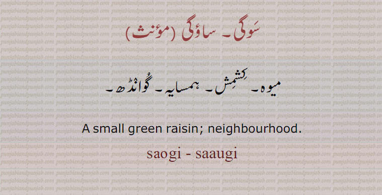 سوگی۔ ساؤگی,میوہ۔ کشمش۔ ہمسایہ۔ گوانڈھ۔
A small green raisin; neighbourhood. saugi - saaugi, saogi, ਸੌਗੀ, ਸਾਉਗੀ