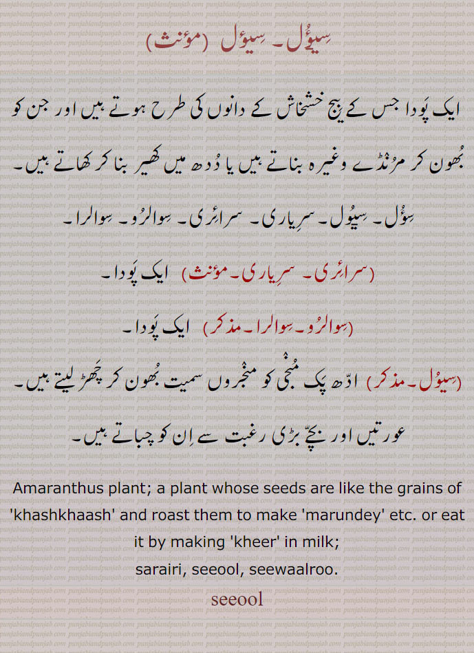 سیؤل۔,
 ایک پودا جس کے بیج خشخاش کے دانوں کی طرح ہوتے ہیں اور جن کو بھون کر مرنڈے وغیرہ بناتے ہیں یا ددھ میں کھیر بنا کر کھاتے ہیں۔
سؤل۔ سیول۔سریاری۔ سرائری۔ سوالرو۔ سوالرا,سرائری۔ سریاری, ایک پودا,سوالرو۔سوالرا, ایک پودا,سیول, ادھ پک منجی کو منجروں سمیت بھون کر چھڑ لیتے ہیں۔ عورتیں اور بچے بڑی رغبت سے ان کو چباتے ہیں۔
Amaranthus plant; a plant whose seeds are like the grains of 'khashkhaash' and roast them to make 'marundey' etc. or eat it by making 'kheer' in milk;
sarairi, seeool, seewaalroo. ਸਰਾਇਰੀ sarairi, ਸਿਊਲ siul, ਸਿਵਾਲਰੂ siwalru,  saraairi, siool, seeool, siwaalroo,
seewaalroo,
