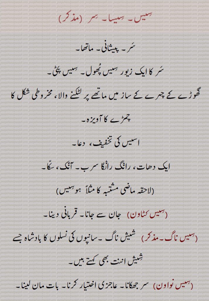 سیس۔ سیسا۔ سر ,سر۔ پیشانی۔ ماتھا,سر کا ایک زیور سیس پھول۔ سیس پٹی,گھوڑے کے چہرے کے ساز میں ماتھے پر لٹکنے والا، مخروطی شکل کا چمڑے کا آویزہ, دعا,ایک دھات، رانگ رانگا سرب۔ آنک، سکا, ہوسیس,سیس کٹاون,  جان سے جانا۔ قربانی دینا,سیس ناگ,  شیش ناگ ۔سانپوں کی نسلوں کا بادشاہ جسے شیش اننت بھی  کہتے ہیں,سیس نواون, سر جھکانا۔ عاجزی اختیار کرنا۔ بات مان لینا