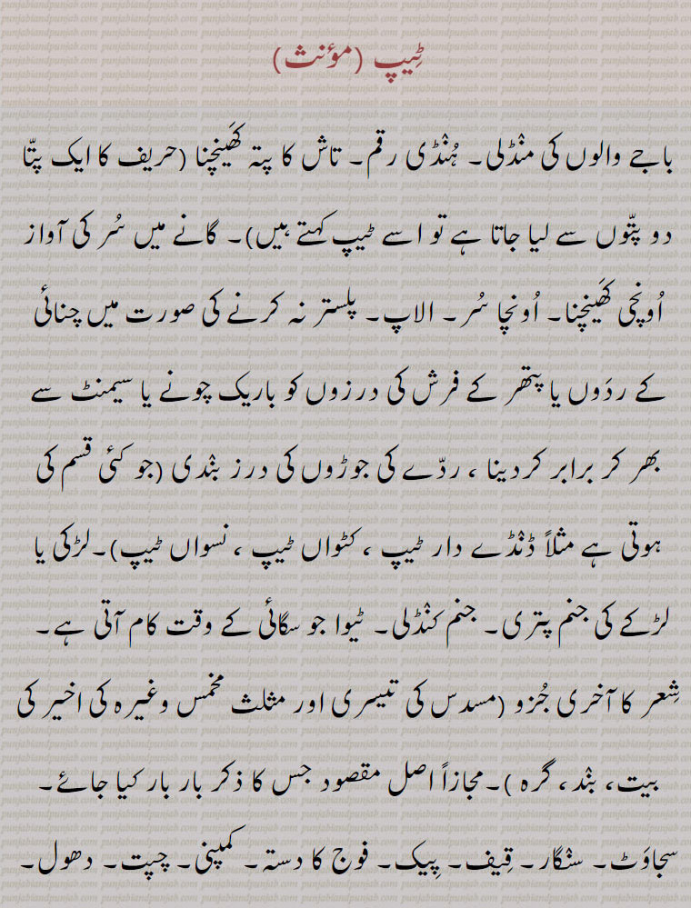 ٹیپ ,باجے والوں کی مننڈلی۔ ہننڈی رقم۔ تاش کا پتہ کھینچنا (حریف کا ایک پتّا دو پتّوں سے لیا جاتا ہے تو اسے ٹیپ کہتے ہیں)۔ گانے میں سر کی آواز اونچی کھینچنا۔ اونچا سر۔ الاپ۔ پلستر نہ کرنے کی صورت میں چنائی کے ردوں یا پتھر کے فرش کی درزوں کو باریک چونے یا سیمنٹ سے بھر کر برابر کردینا ، ردّے کی جوڑوں کی درز بنندی,لڑکی یا لڑکے کی جنم پتری۔ جنم کننڈلی۔ ٹیوا جو سگائی کے وقت کام آتی ہے۔  شعر کا آخری جزو  ۔مجازاً اصل مقصود جس کا ذکر بار بار کیا جائے۔سجاوٹ۔ سننگار۔ قیف۔ پیک۔ فوج کا دستہ۔ کمپنی۔ 