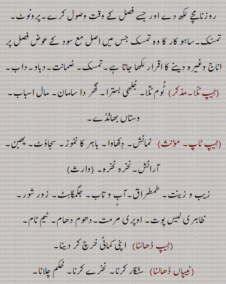 ہاتھ ادھار رقم کی تحریری یاد داشت جو رقم دینے والا اپنے روزنامچے لکھ دے اور جسے فصل کے وقت وصول کرے۔پرونوٹ۔ تمسّک۔ساہو کار کا وہ تمسک جس میں اصل مع سود کے عوض فصل پر اناج وغیرہ دینے کا اقرار لکھا جاتا ہے۔تمسک۔ ضمانت۔دباو۔داب,ٹیپ ٹلا۔مذکر)  ٹوم ٹلا۔ جلھی بسترا۔ گھر دا سامان۔ مال اسباب۔وستاں بھاننڈے,ٹیپ ٹاپ,   نمائش۔ دکھاوا۔ باہر کا نموز۔ سجاوٹ۔ پھبن۔ آرائش۔نخرہ ٹخرہ۔ 
زیب و زینت۔ طمطراق۔آب و تاب۔ جگمگاہٹ۔ زور شور۔ ظاہری لیس پوت۔ اوپری مرمت۔دھوم دھام۔ ٹیم ٹام,ٹیپ ڈھالنا,  اپنی کمائی خرچ کر دینا,ٹیپاں ڈھالنا, سننگار کرنا۔ نخرے کرنا۔ حکم چلانا,ٹیپ کرنا, سجانا، ول وننگ دور کرنا,ٹیپنا۔متعدی,  درج کرنا۔ لکھ لینا۔ نقل کرنا,ٹیپا,  قطرہ۔ بونند۔ تپکا۔