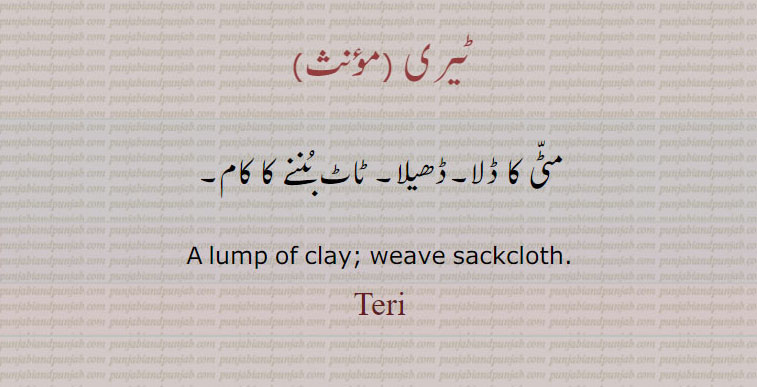 ٹیری, مٹی کا ڈلا۔ڈھیلا۔ ٹاٹ بننے کا کام۔
A lump of clay; weave sackcloth.
ٹیری ,Teri , ਟੇਰੀ 