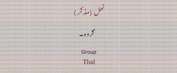 ٹھل,  group, thal,  گروہ