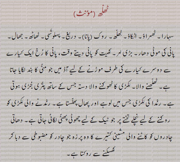 Stoppage, obstruction;hindrance,
 ٹھلھ پا دینی,ٹھلھ دیون, روک دینا۔ منع کر دینا۔, ٹھلھ پائی جانی, رکاوٹ لگانا,ٹھلھ پینی, ٹھلھ پون,ٹھلھ مچائی کھڑے ہونا,ٹھلھنا, ٹھہرانا,ٹھلھنا,ٹھلھو,ٹھلھو, ,ٹھولھ, ٹھلّھ,  ٹھلھ