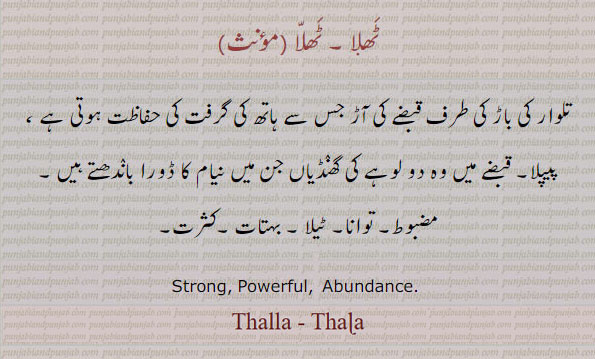 ਠੱਲਾ, ਠੱਲ਼ਾ,thalla, ٹھلّا, ٹھلا, strong, powerful, abundance, مضبوط۔ توانا۔ ٹیلا۔ بہتات۔ کثرت۔جس میں نیام کا ڈورا باندھتے ہیں،
