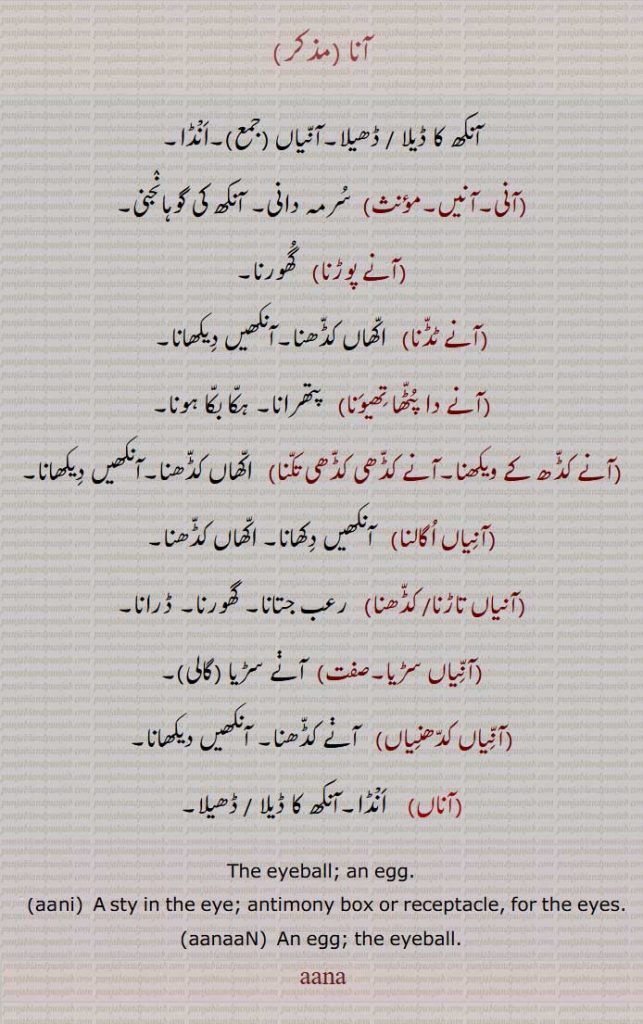 آنا ,آنکھ کا ڈیلا ,آنیاں ,آنی,آنیں, آنکھ کی گوہانجنی,آنے پوڑنا,آنے ٹڈنا,آنے دا پٹھا تھیونا,آنے کڈھ کے ویکھنا,آنے کڈھی کڈھی تکنا,آنیاں اگالنا,آنیاں تاڑنا/ کڈھنا),آنیاں سڑیا,گالی,آنیاں کدھنیاں, آنے کڈھنا,The eyeball,aanni,  A sty in the eye; antimony box or receptacle, for the eyes., aanna, ਆਨਾ, aanaaN ,ਆਨਾਂ , An egg,, سُرمے دانی