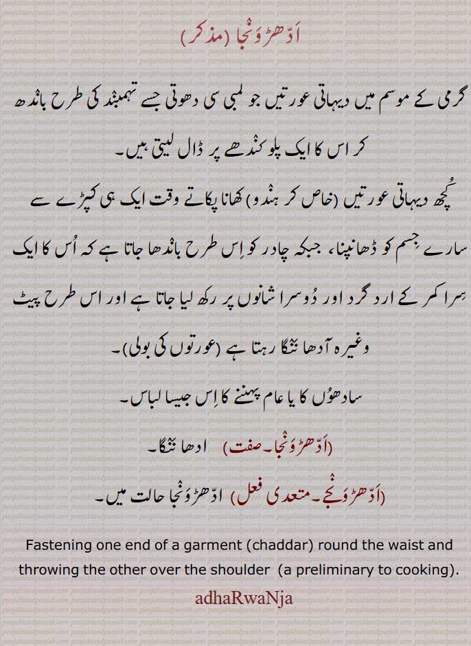  ادھڑونجا ,adhaRwanja ,   ਅਧੜਵੰਜਾ ,  ادھا نَنٛگا۔
 ,اَدّھڑوَنٛجے
  ,adhaRvaNja,