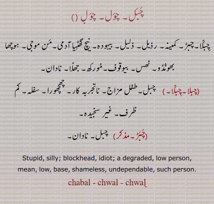 چبل, چول,  چَبَل, چوَل,  
چِبَلّا,چبڑ, کمینہ,رذیل, ذلیل, بیہودہ, نیچ گھٹیا آدمی, ہوچھا ,
,چبلا,چِبَلّا, چھچھورا, سفلہ,چَبڑ, Stupid, silly; blockhead, idiot; a degraded, ,shameless,chabal ,chwal,ਚਬਲ, ਚਵਲ਼