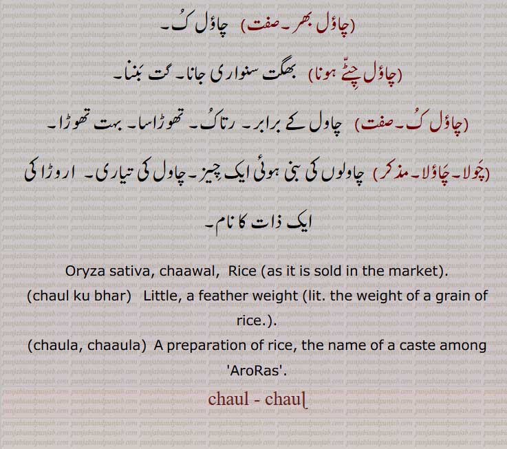 ہونا,چولا, Oryza sativa,rice,  chaul,chaawal, ਚੌਲ਼, ਚੌਲ,ਚਾਵਲ, چاؤل, چاول۔ چول۔چاور۔, چاول کی تیاری۔  اروڑا کی ایک ذات کا نام۔, chaula, chaaula,  A preparation of rice, the name of a caste among 'AroRas'