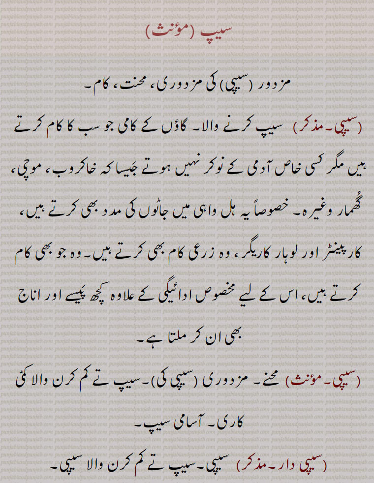 سیپ، مزدور (سیپی) کی مزدوری، محنت، کام،سیپی،  سیپ کرنے والا۔ گاؤں کے کامی جو سب کا کام کرتے ہیں مگر کسی خاص آدمی کے نوکر نہیں ہوتے جیسا کہ خاکروب، موچی، گھمار وغیرہ۔ خصوصاً یہ ہل واہی میں جاٹوں کی مدد بھی کرتے ہیں،  کارپینٹر اور لوہار کاریگر، وہ زرعی کام بھی کرتے ہیں۔وہ جو بھی کام کرتے ہیں، اس کے لیے مخصوص ادائیگی کے علاوہ  کچھ پیسے اور اناج بھی ان کر ملتا ہے،سیپی،محنت۔ مزدوری (سیپی کی)۔سیپ تے کم کرن والا کمی کاری۔ آسامی سیپ،سیپی دار، سیپی۔سیپ تے کم کرن والا سیپی۔