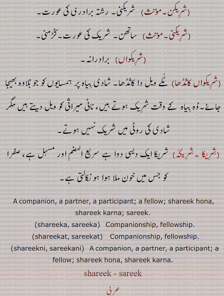  A companion, a partner, a participant; a fellow; shareek hona, shareek karna; sareek.,shareeka, sareeka,   Companionship, fellowship.,shareekat, sareekat,  Companionship, fellowship.,shareekni, sareekani,   A companion, a partner, a participant; a fellow; shareek hona, shareek karna., shareek, sareek, ,sharika, sarika, ਸਰੀਕਾ , ਸ਼ਰੀਕਾ,Companionship, fellowship, shareekat, sareekat, ਸਰੀਕਤ , ਸ਼ਰੀਕਤ, shareekni, sareekani, ਸ਼ਰੀਕਣੀ , ਸਰੀਕਣੀ,