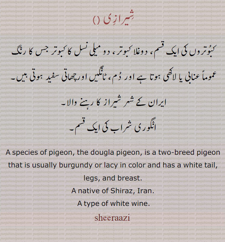 شیرازی ، کبوتروں کی ایک قسم، دوغلا کبوتر، دو میلی نسل کا کبوتر جس کا رنگ عموماً عنابی یا لاکھی ہوتا ہے اور دم، ٹانگیں اورچھاتی سفید ہوتی ہیں, ایران کے شہر شیراز کا رہنے والا, انگوری شراب کی ایک قسم۔
A species of pigeon, the dougla pigeon, is a two-breed pigeon that is usually burgundy or lacy in color and has a white tail, legs, and breast.
A native of Shiraz, Iran.ਸ਼ੀਰਾਜ਼ੀ, A type of white wine.,shirazi, sheeraaz