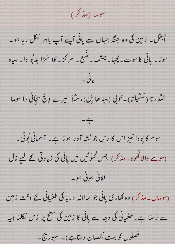 سوما , ابھل۔ زمین کی وہ جگہ جہاں سے پانی آپنے آپ باہر نکل رہا ہو۔ سوتا۔ پانی کا سوت۔چہا۔چشمہ۔منبع۔ مرکز۔گلا سڑا بدبو دار سیاہ پانی, سندرتا ,سشیلتا ۔خوبی ,سیدھا پن ، مثلاً  تیرے وچ سچائی دا سوما ہے, سوم کا پودا نیز اس کا رس جو نشہ آور ہوتا ہے۔ آسمانی بوٹی, سومے والا کھوہ, جس کنوئیں میں پانی کی زیادتی کے لیے نال لگائی ہوئی ہو, سوماں,وہ کھاری پانی جو سالانہ دریا کی طغیانی کے وقت زمین سے رستا ہے۔طغیانی کی وجہ سے پانی کا زمین کی سطح پر رس نکلنا , سیوریج, 