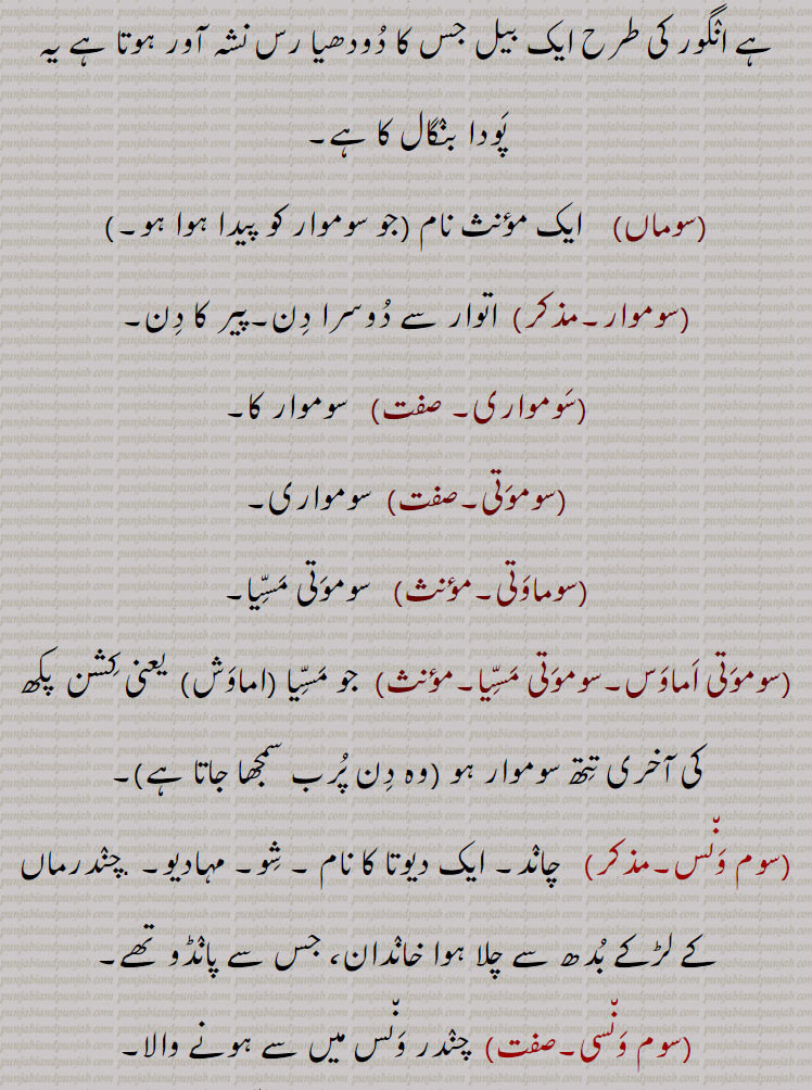 امرت,سوم لتا, سوم کا درخت۔ایک بیل جس سے سوم رس نکلتا ہے انگور کی طرح ایک بیل جس کا دودھیا رس نشہ آور ہوتا ہے یہ پودا بنگال کا ہے,سوماں, ایک مؤنث نام (جو سوموار کو پیدا ہوا ہو۔,سوموار, اتوار سے دوسرا دن۔پیر کا دن,سومواری,  سوموار کا,سوموتی, سومواری,سوماوتی, سوموتی مسیا,سوموتی اماوس۔سوموتی مسیا,جو مسیا ,اماوش, یعنی کشن  پکھ کی آخری تتھ سوموار ہو ,سوم ونس, چاند۔ ایک دیوتا کا نام ۔ شو۔ مہادیو۔ .چندرماں کے لڑکے بدھ سے چلا ہوا خاندان، جس سے پانڈو تھے,سوم ونسی, چندر ونس میں سے ہونے والا,سوماری۔سمیری,حضرت مسیح سے پانچ ہزار سال قبل بابلی تہذیب سوماری کہلاتی ہے۔